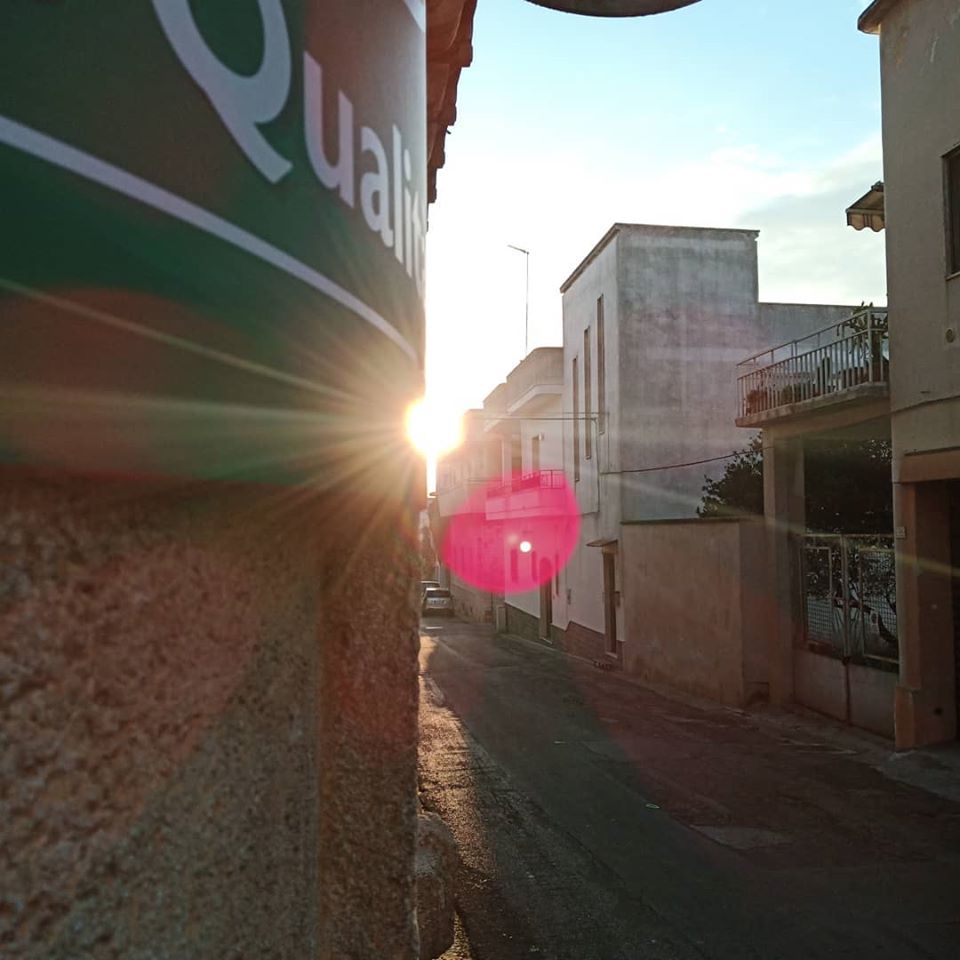 Luce