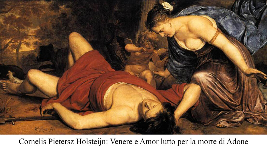 Coltivare le Fragole 2 Adone e Venere 1