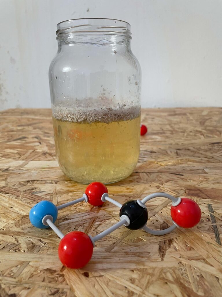 Concime Naturale Fai Da Te dai Gusci D'Uovo 24 Reazione Chimica